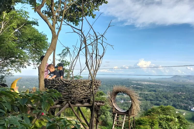Cara Sederhana Menjalani Wisata Alam Untuk Jangka Panjang Menemukan Kedamaian Di Setiap Jejak